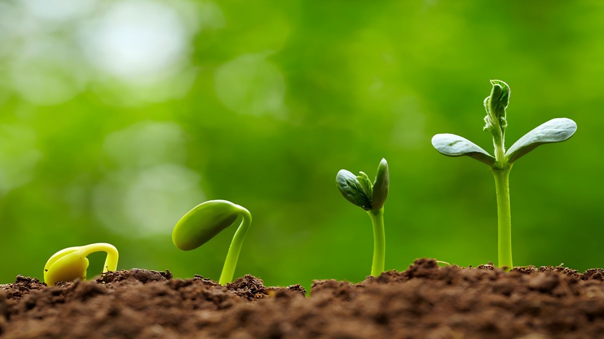 Here&rsquo;s a complete guide on what you should prepare before planting your seeds.