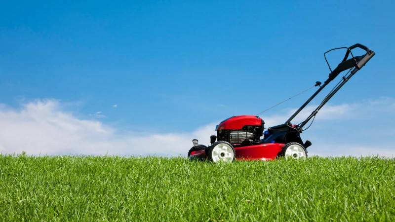 Is the smell of mowing the grass a distress signal from plants？