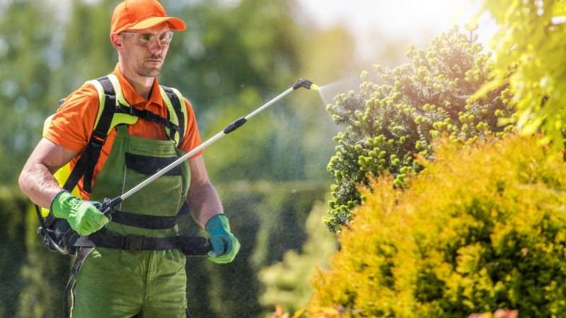 How do you control pests and diseases in your garden